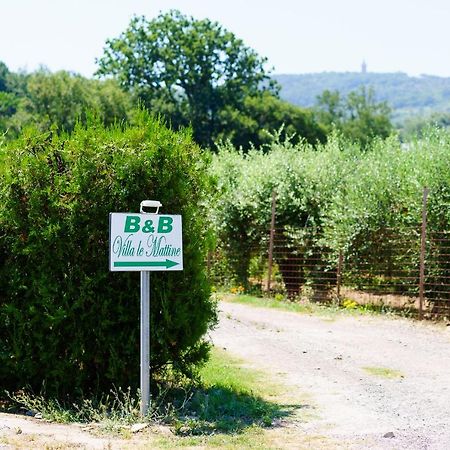 B&B Villa Le Mattine Agropoli Ngoại thất bức ảnh